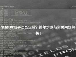 领星ERP助手怎么安装？简单步骤与常见问题解析！