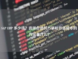 SAP ERP 多少钱？选择合适的方案和节省成本的方法是什么？