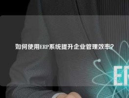 如何使用ERP系统提升企业管理效率？