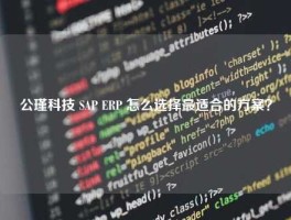 公瑾科技 SAP ERP 怎么选择最适合的方案？