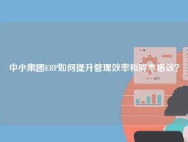 中小集团ERP如何提升管理效率和降本增效？