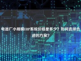 电器厂小规模ERP系统价格是多少？如何选择合适的方案？