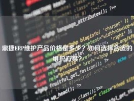 鼎捷ERP维护产品价格是多少？如何选择合适的维护方案？