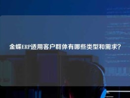 金蝶ERP适用客户群体有哪些类型和需求？