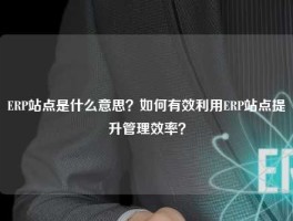 ERP站点是什么意思？如何有效利用ERP站点提升管理效率？