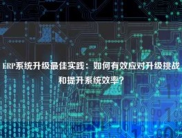 ERP系统升级最佳实践：如何有效应对升级挑战和提升系统效率？