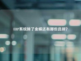 ERP系统除了金蝶还有哪些选择？
