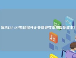 博科ERP SAP如何提升企业管理效率和降低成本？