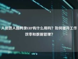 人员进入国网录ERP有什么用吗？如何提升工作效率和数据管理？