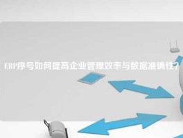 ERP序号如何提高企业管理效率与数据准确性？