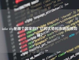 infor erp是哪个国家的？它的优势和市场份额如何？