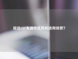 鲸选ERP有哪些优势和适用场景？