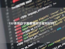 ERP系统自学需要哪些技能和材料？