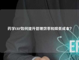 药学ERP如何提升管理效率和降低成本？
