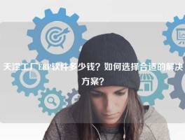 天津工厂ERP软件多少钱？如何选择合适的解决方案？