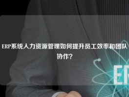ERP系统人力资源管理如何提升员工效率和团队协作？