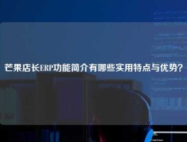 芒果店长ERP功能简介有哪些实用特点与优势？