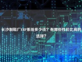 长沙制鞋厂ERP系统多少钱？有哪些性价比高的选择？