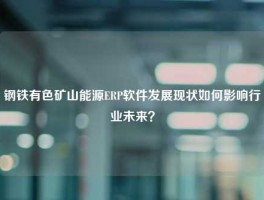 钢铁有色矿山能源ERP软件发展现状如何影响行业未来？