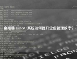 金斯瑞 ERP-SAP系统如何提升企业管理效率？