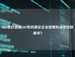 WPS医疗器械ERP如何满足企业管理和成本控制需求？