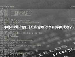 印特ERP如何提升企业管理效率和降低成本？