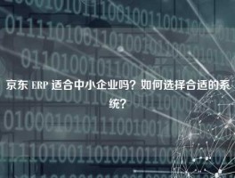 京东 ERP 适合中小企业吗？如何选择合适的系统？