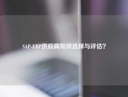 SAP-ERP供应商如何选择与评估？