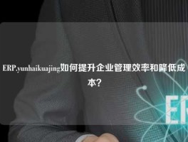 ERP.yunhaikuajing如何提升企业管理效率和降低成本？