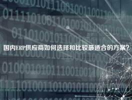 国内ERP供应商如何选择和比较最适合的方案？