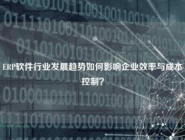 ERP软件行业发展趋势如何影响企业效率与成本控制？