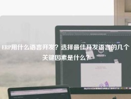 ERP用什么语言开发？选择最佳开发语言的几个关键因素是什么？