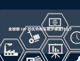 金螳螂 ERP 的优势和实施步骤是什么？