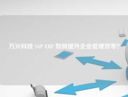 万兴科技 SAP ERP 如何提升企业管理效率？