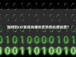 国网的ERP系统有哪些优势和应用场景？