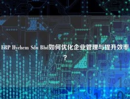 ERP Hychem Sdn Bhd如何优化企业管理与提升效率？