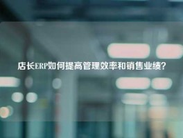 店长ERP如何提高管理效率和销售业绩？