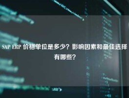 SAP ERP 价格单位是多少？影响因素和最佳选择有哪些？