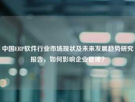 中国ERP软件行业市场现状及未来发展趋势研究报告，如何影响企业管理？