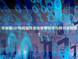 币加德ERP如何提升企业管理效率与财务透明度？