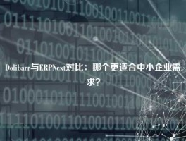Dolibarr与ERPNext对比：哪个更适合中小企业需求？