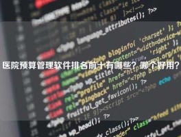 医院预算管理软件排名前十有哪些？哪个好用？