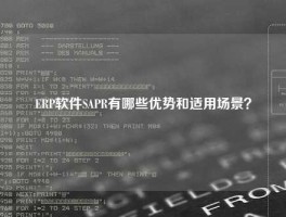 ERP软件SAPR有哪些优势和适用场景？