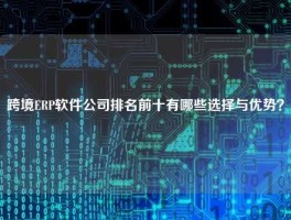 跨境ERP软件公司排名前十有哪些选择与优势？