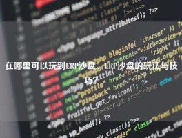 在哪里可以玩到ERP沙盘、ERP沙盘的玩法与技巧？
