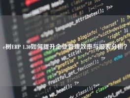 e树ERP 1.30如何提升企业管理效率与报表分析？
