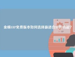 金蝶ERP免费版本如何选择最适合你的功能？
