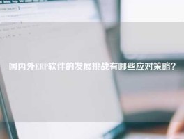 国内外ERP软件的发展挑战有哪些应对策略？