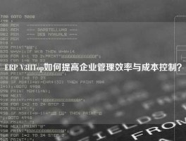 ERP V3IITop如何提高企业管理效率与成本控制？