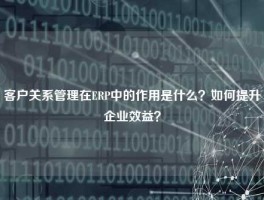 客户关系管理在ERP中的作用是什么？如何提升企业效益？